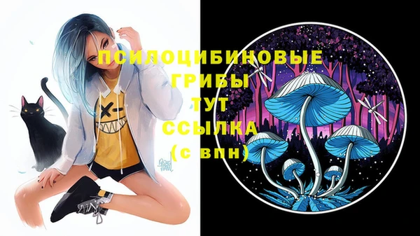 герыч Каменка