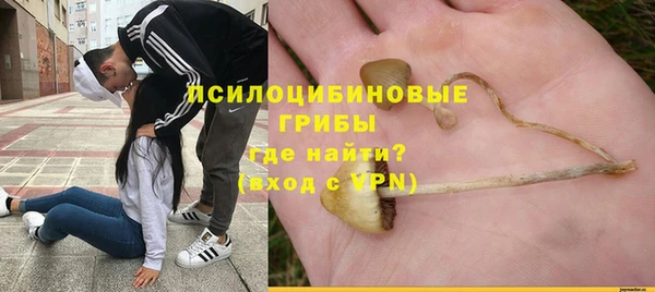 PSILOCYBIN Каменногорск